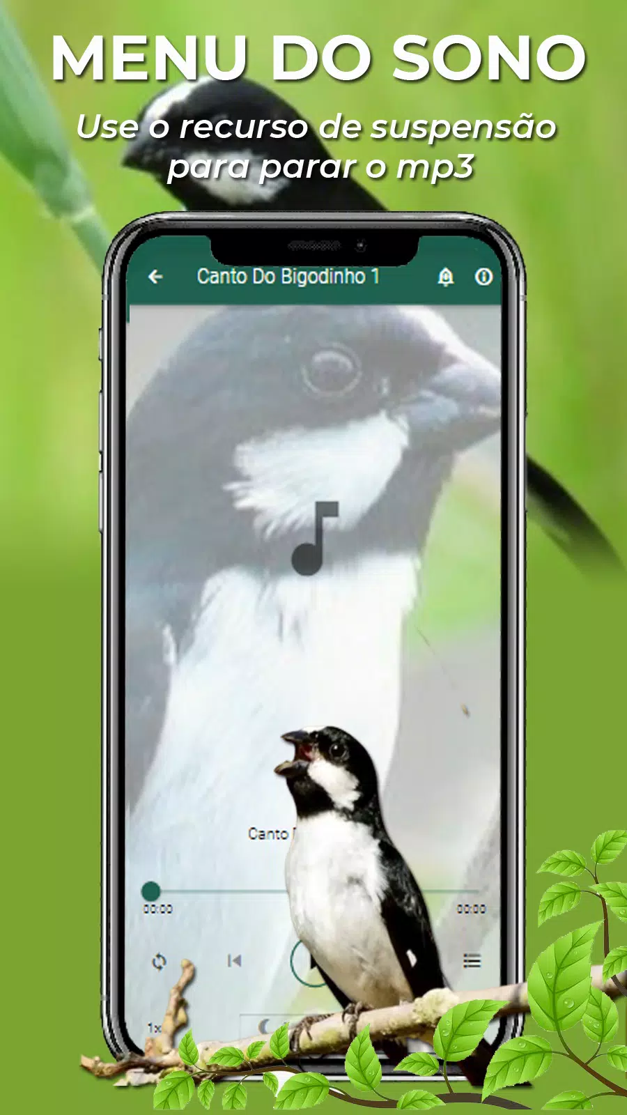 Canto Do Bigodinho Screenshot 3