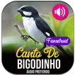 Canto Do Bigodinho APK