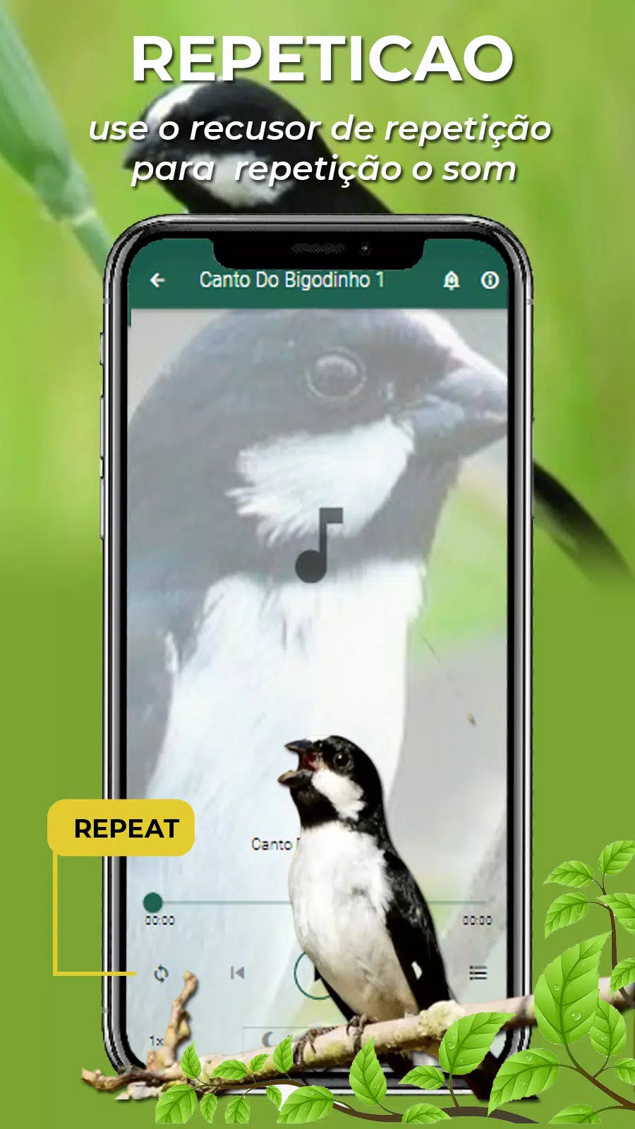 Canto Do Bigodinho Screenshot 6