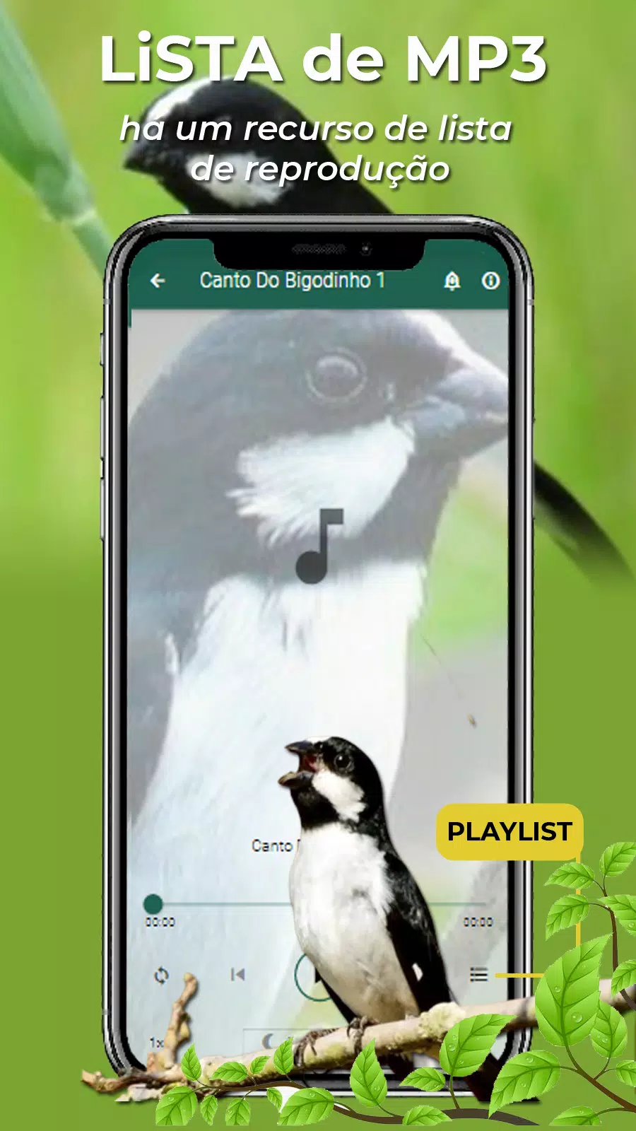 Canto Do Bigodinho Screenshot 7