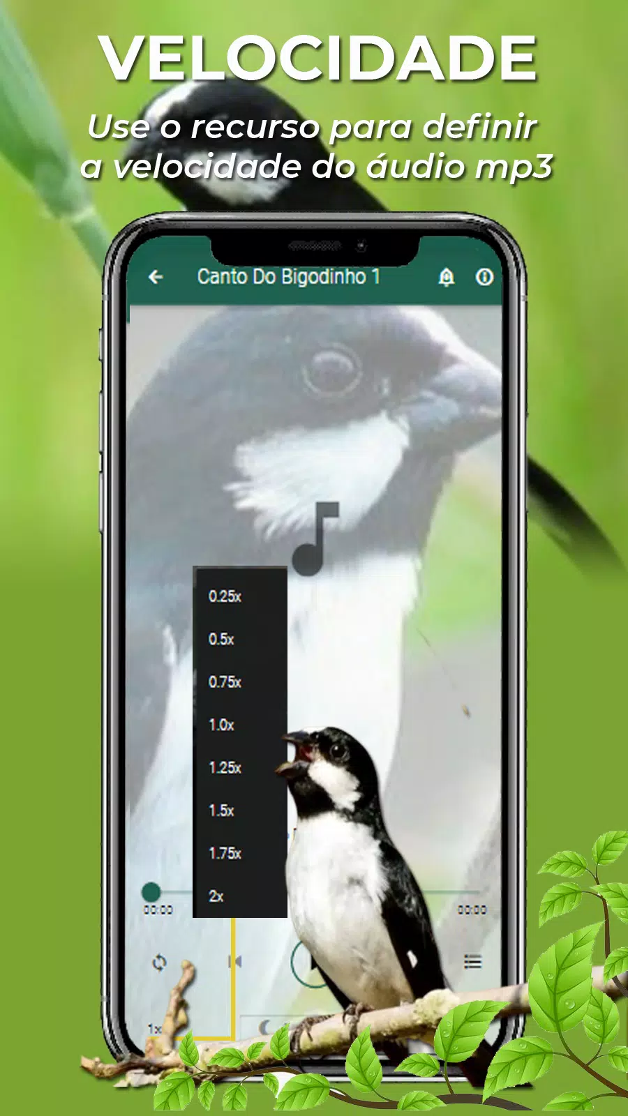 Canto Do Bigodinho Screenshot 5