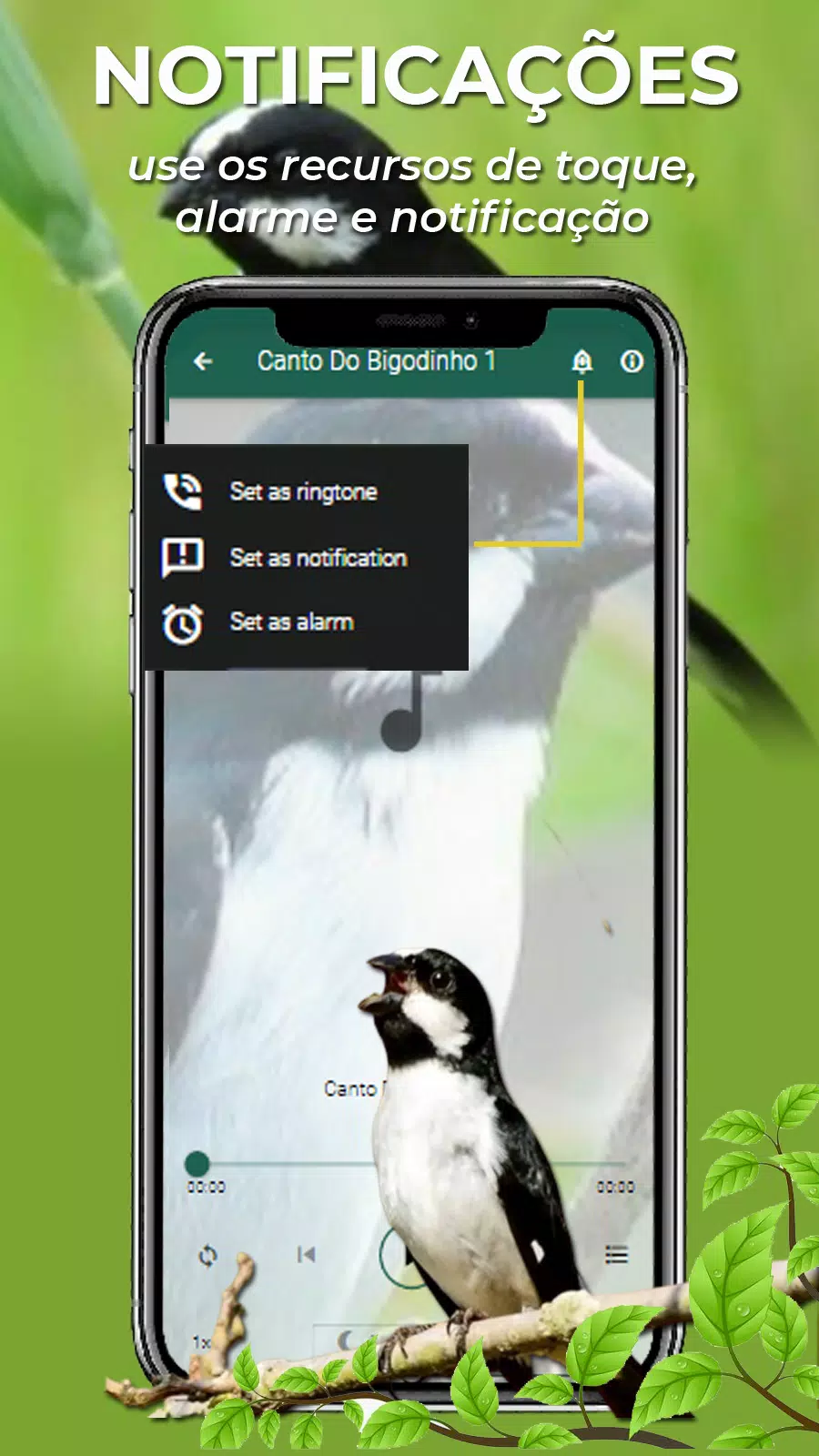 Canto Do Bigodinho Screenshot 4