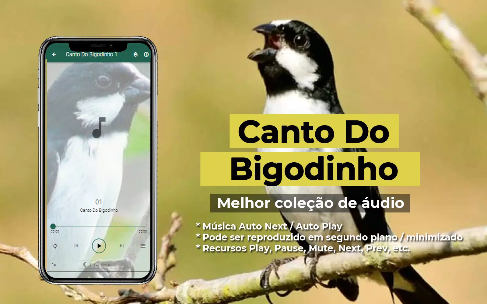 Canto Do Bigodinho Screenshot 1