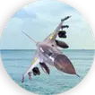 F-16 Air Striker APK