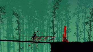 Shadow Ninja Screenshot 2 
