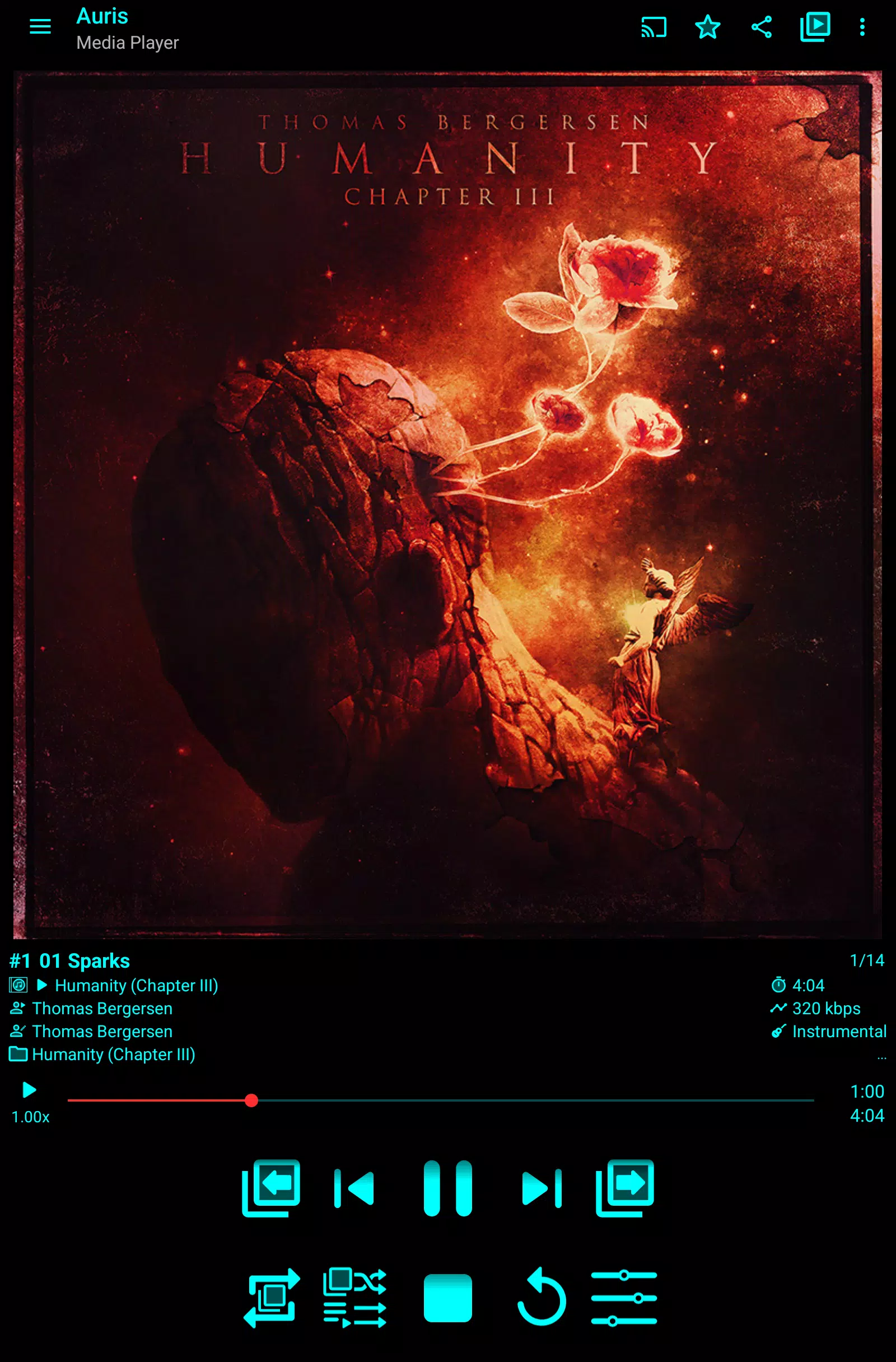 Auris (Media Player) Screenshot 8 