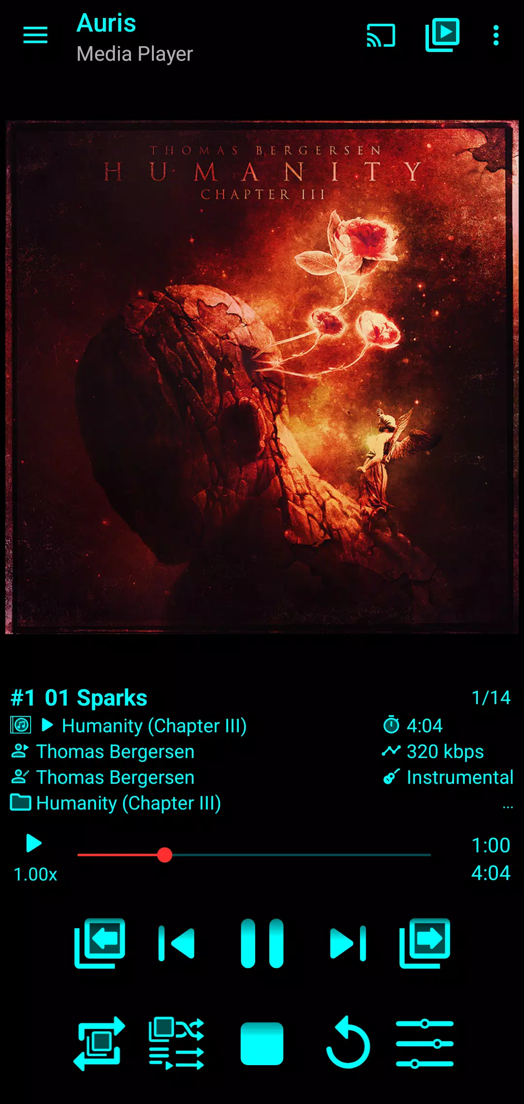 Auris (Media Player) Screenshot 1 