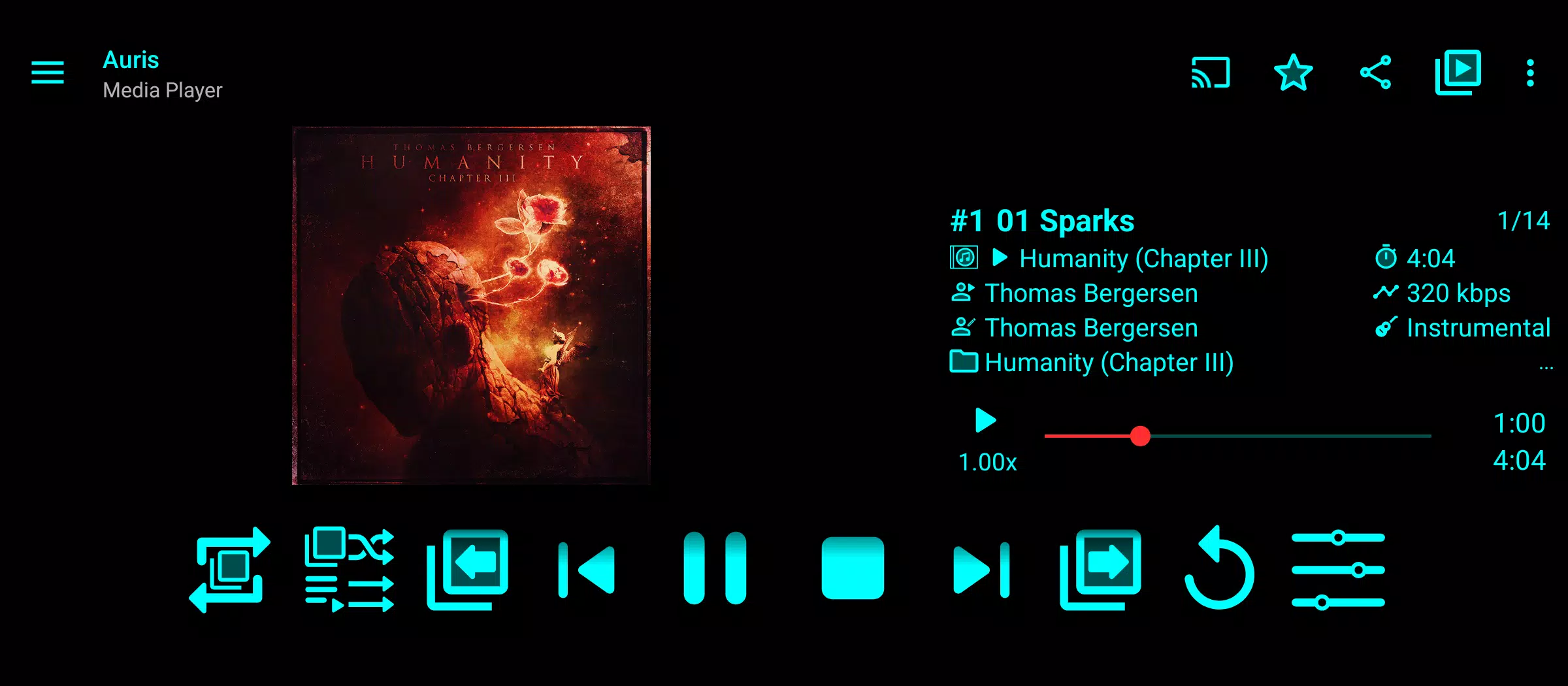 Auris (Media Player) Screenshot 2 