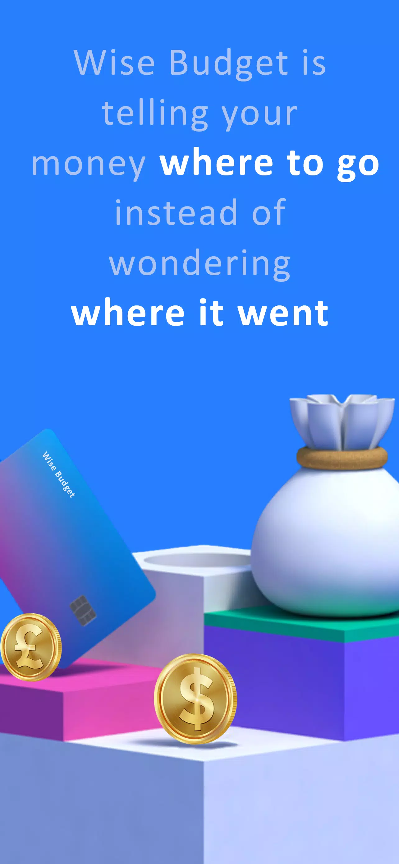 Wise Budget Screenshot 1 