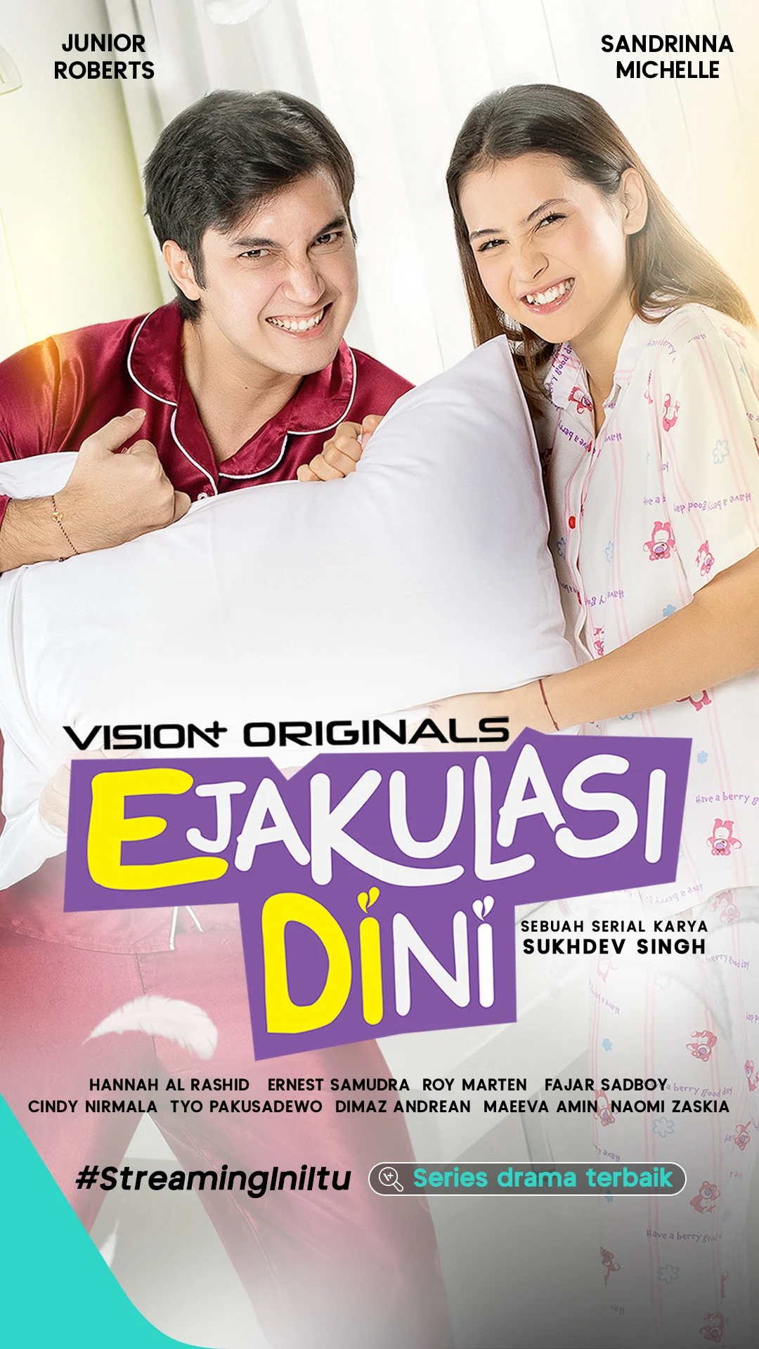 Vision+ Screenshot 1