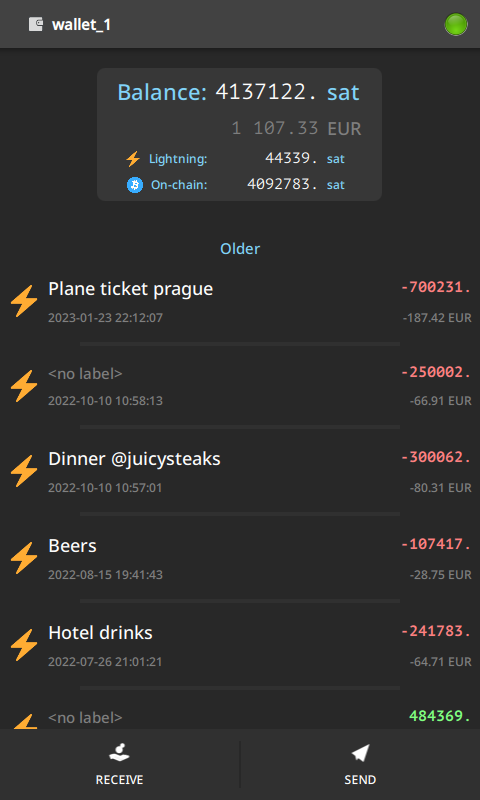 Electrum Bitcoin Wallet Screenshot 1