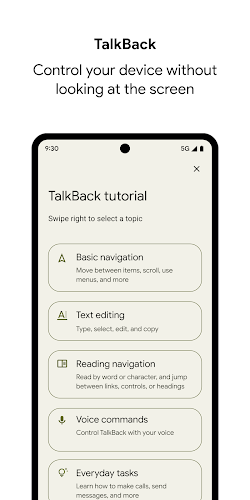 Android Accessibility Suite Screenshot 2