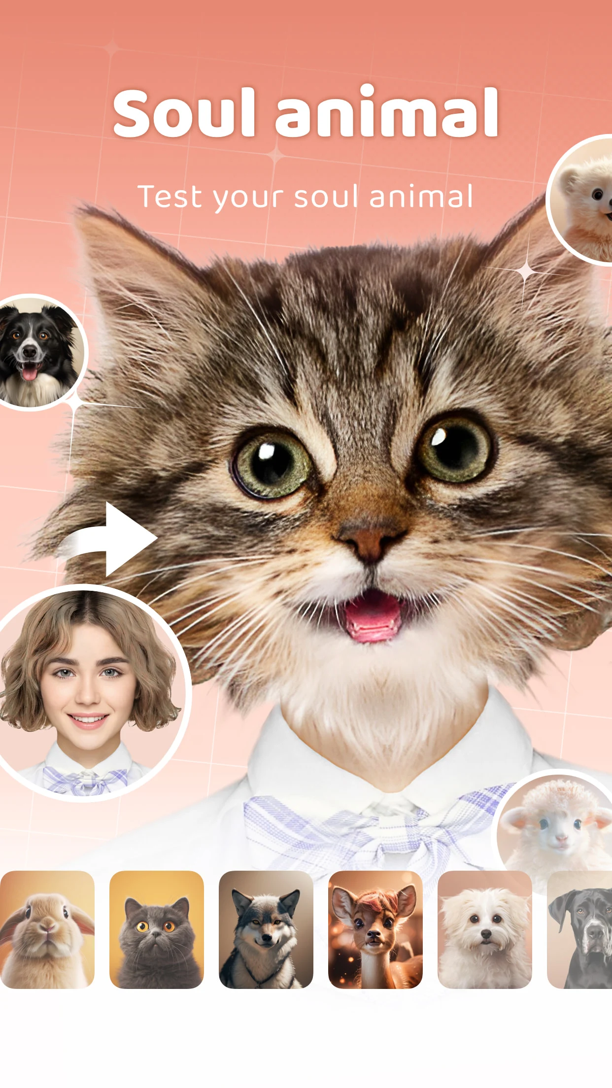 AnimalFace Screenshot 4 