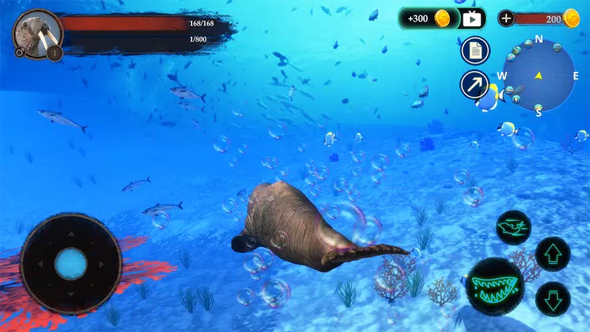 The Warlus Screenshot 1 