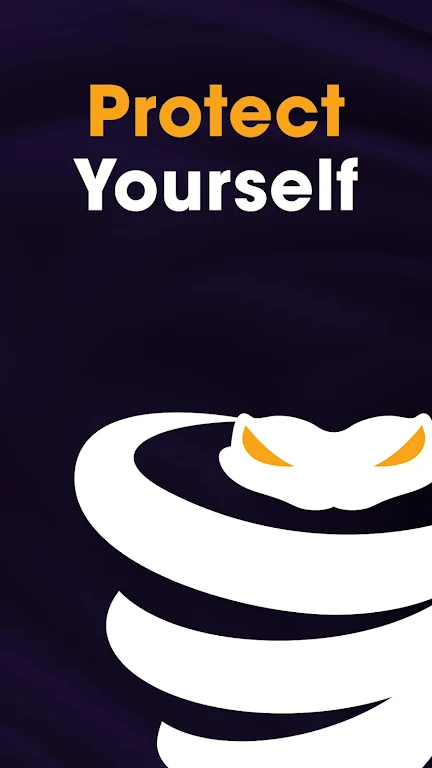VyprVPN Screenshot 1