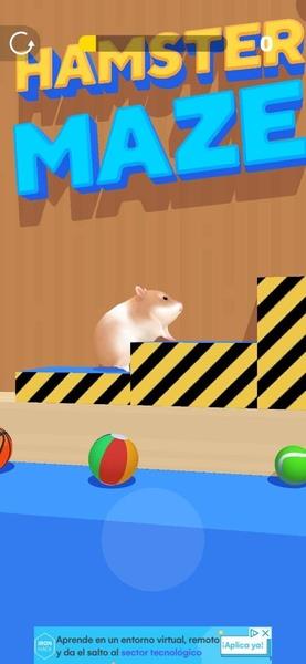 Hamster Maze Screenshot 8