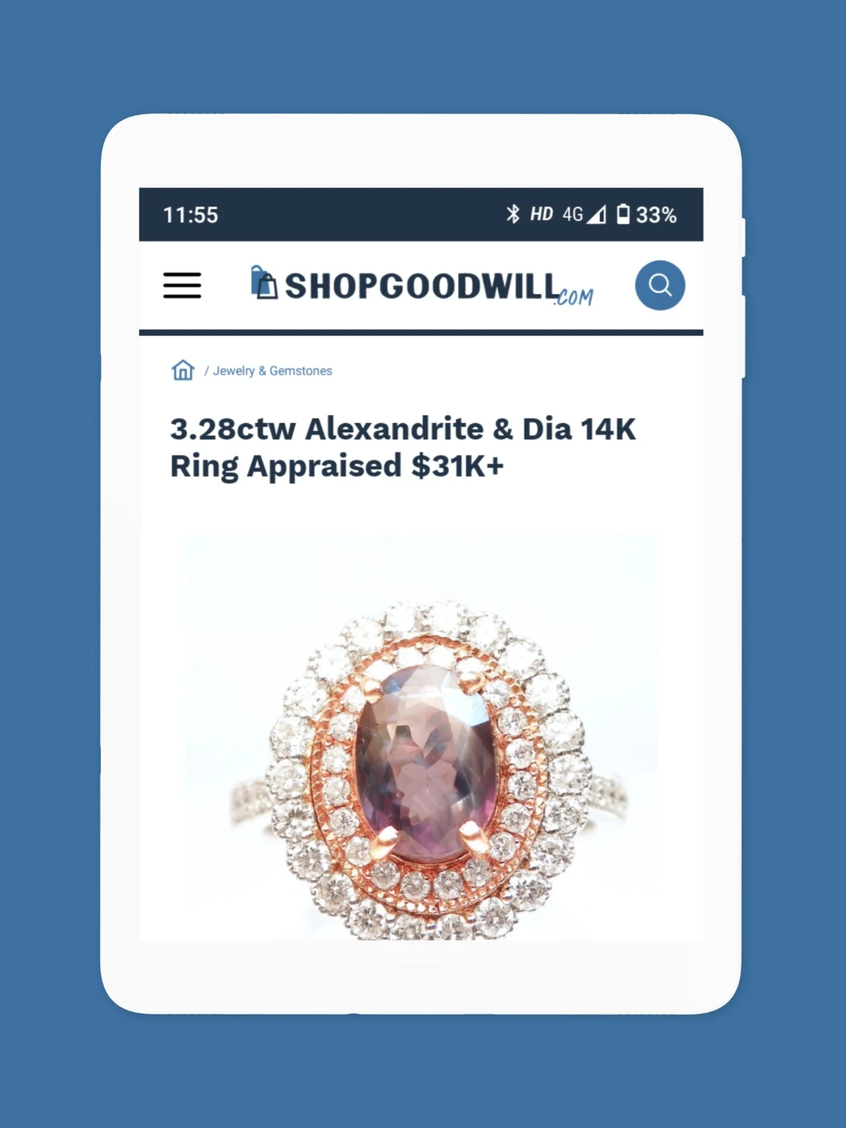 ShopGoodwill Screenshot 8