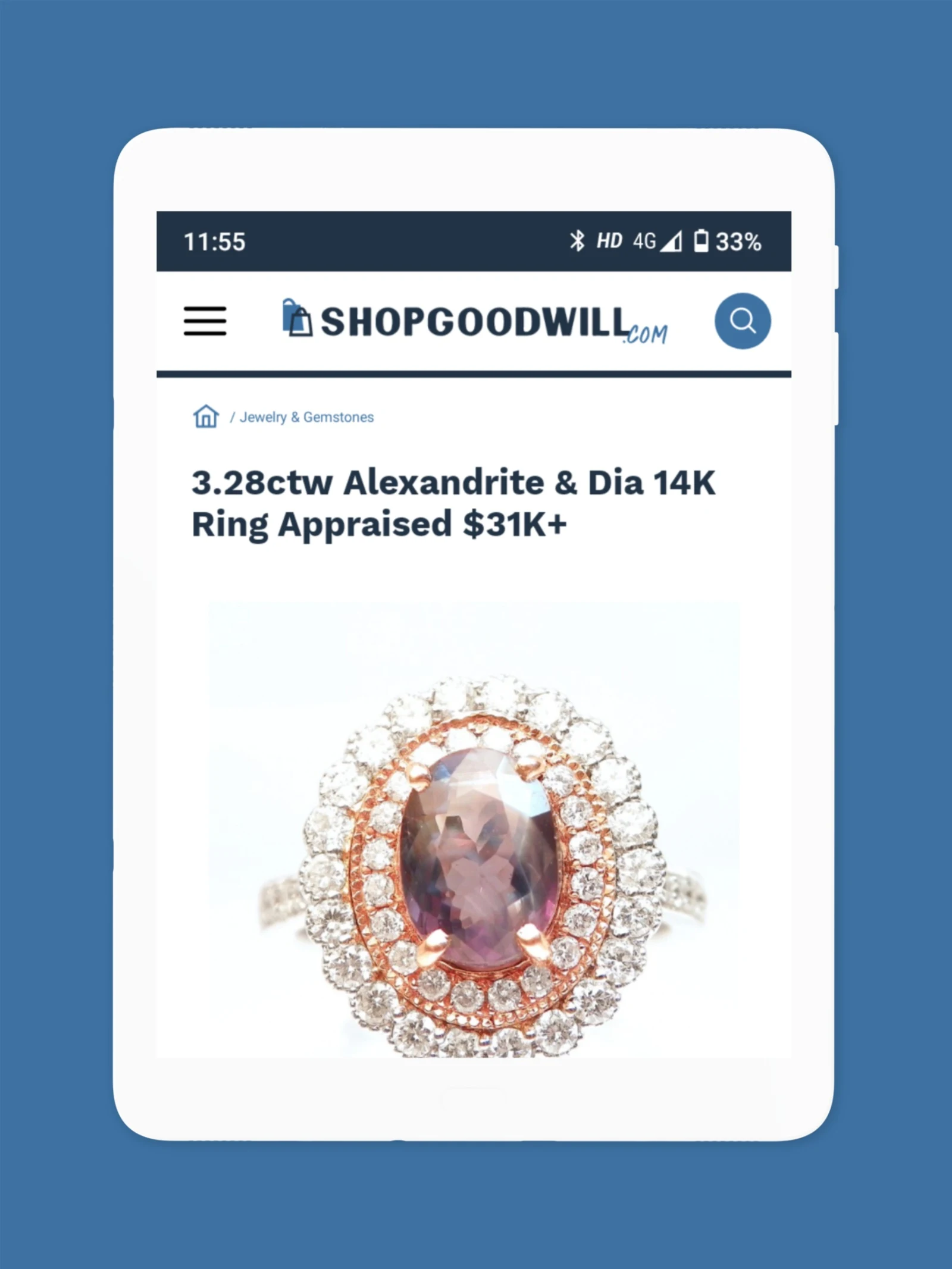 ShopGoodwill Screenshot 13