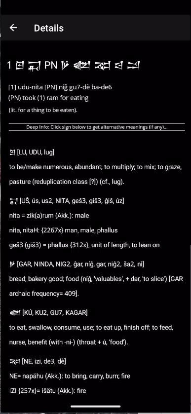 Cuneiform Dictionary Screenshot 5