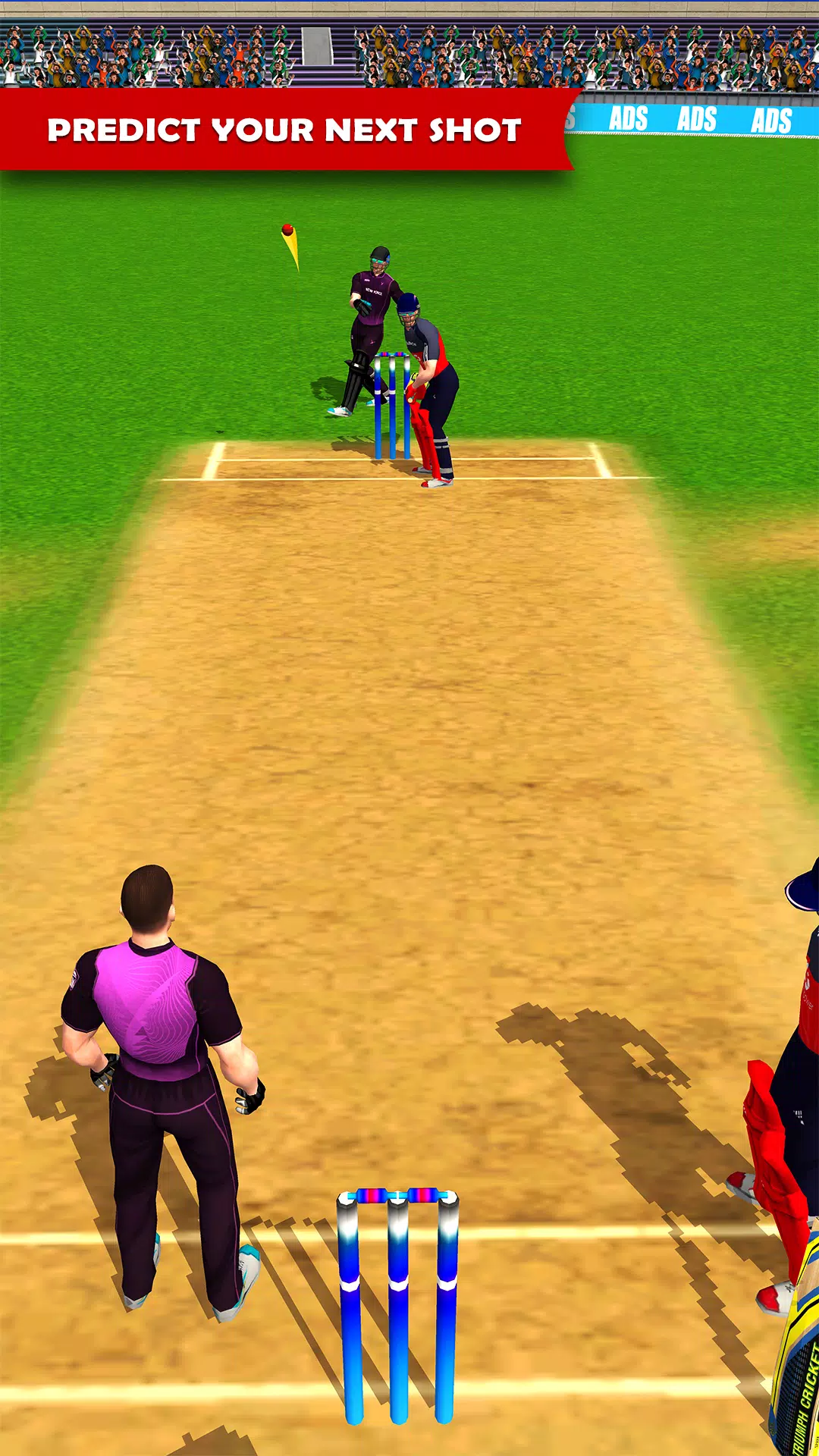 Ludo Cricket Premier League Screenshot 3