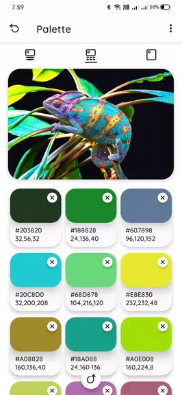 Color Palette Screenshot 3