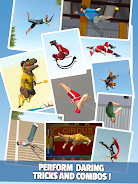 Flip Master Screenshot 3 