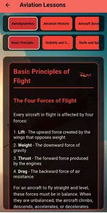 Aviator's Game | Aviation Screenshot 2