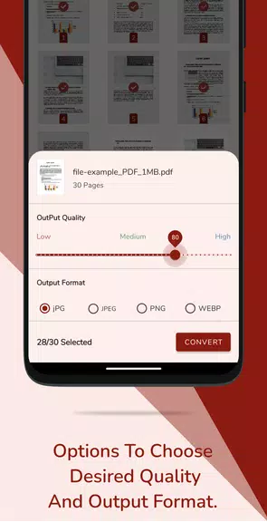 PDF to JPG Converter Screenshot 3