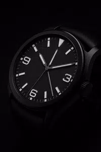 Bold Aviator Royale WatchFace Screenshot 4