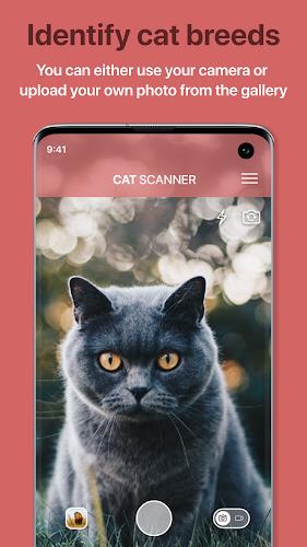 Cat Scanner: Breed Recognition Screenshot 1 