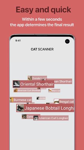 Cat Scanner: Breed Recognition Screenshot 3 