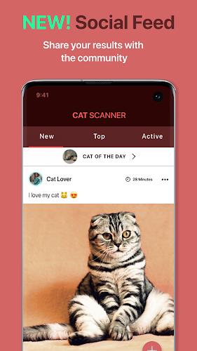 Cat Scanner: Breed Recognition Screenshot 4 