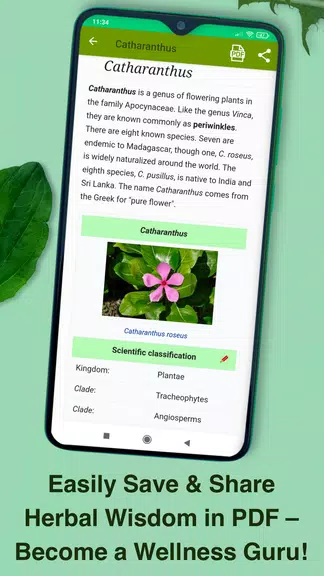 Medicinal Plants & Herbs Guide Screenshot 4 