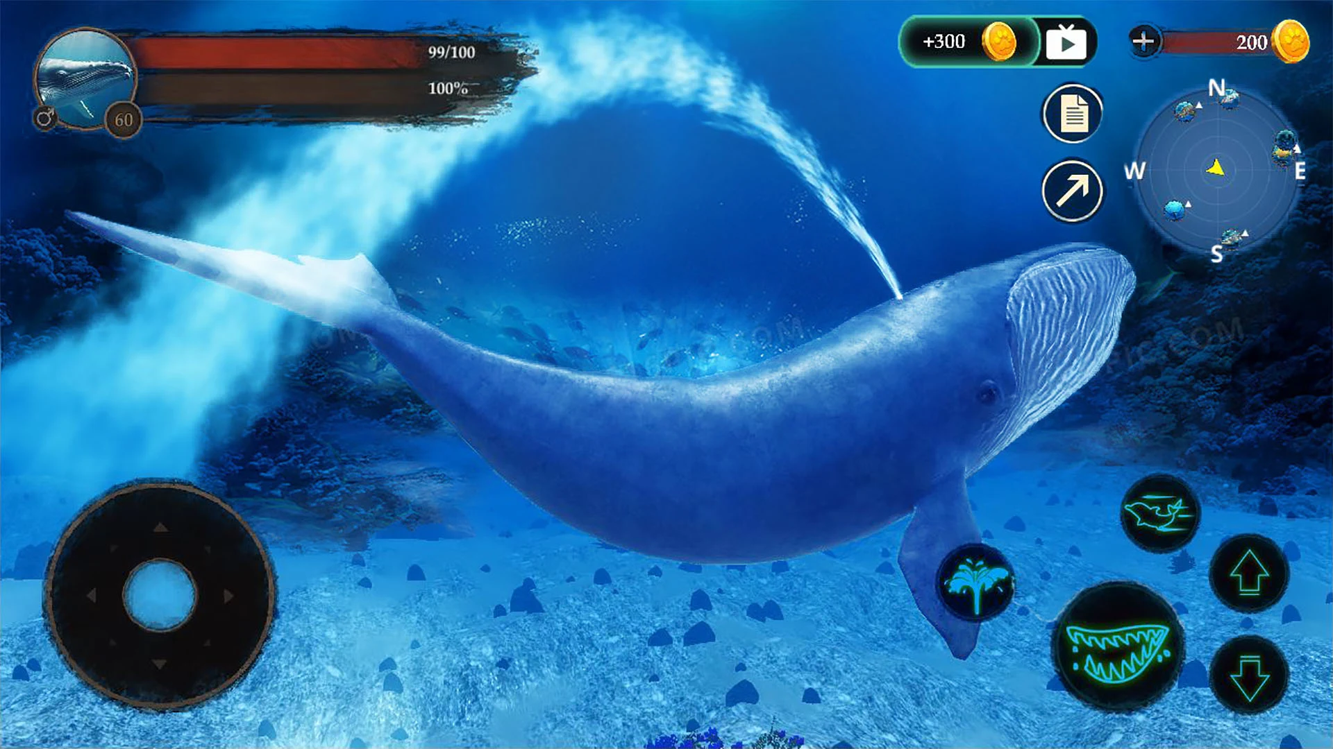The Blue Whale Screenshot 5 