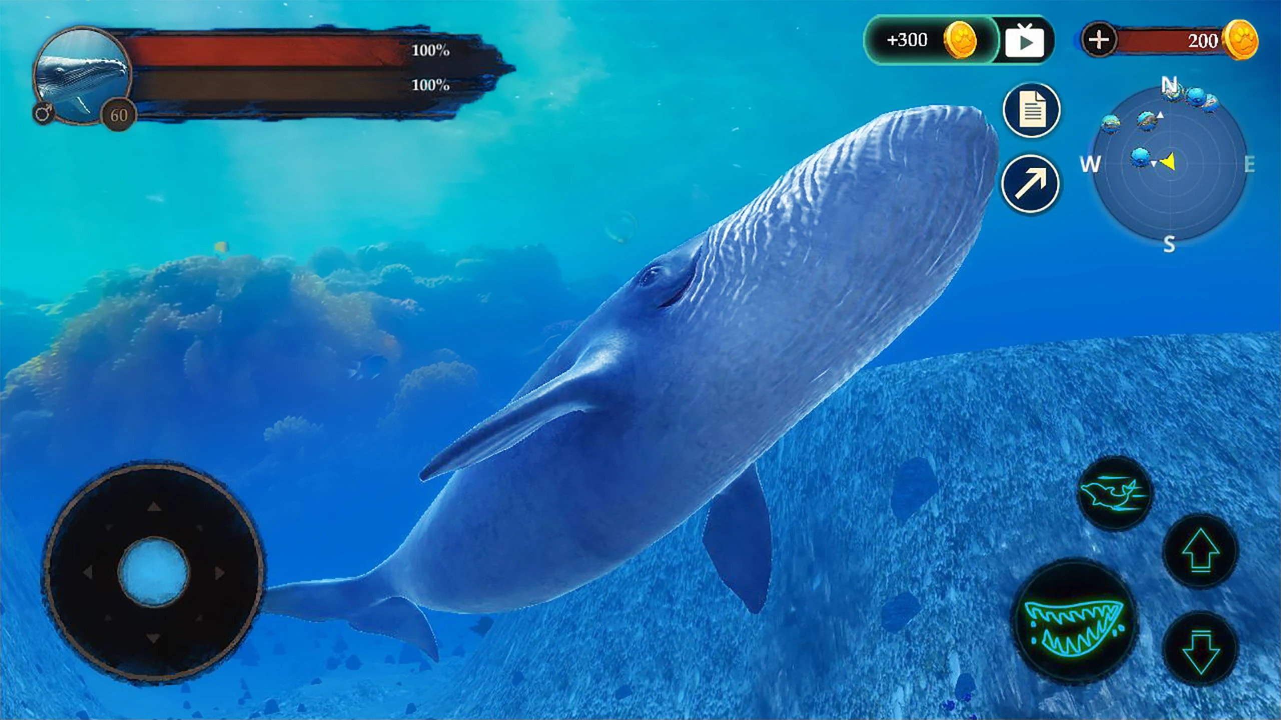 The Blue Whale Screenshot 9 