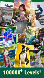 Jigmerge Puzzles Screenshot 5 