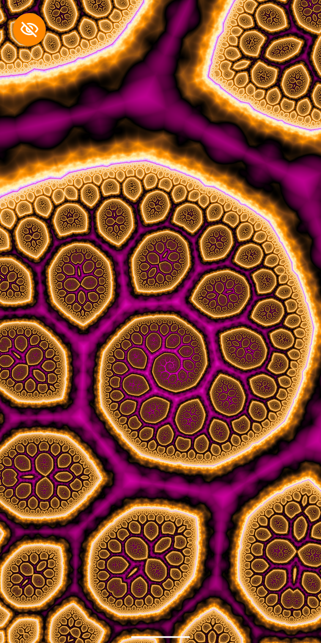 MandelBrowser Screenshot 3