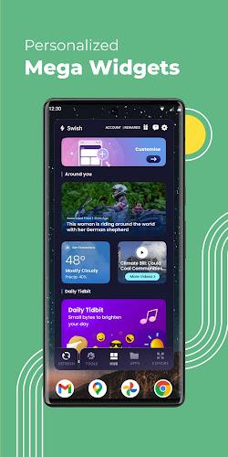 Swish Dashboard Screenshot 12