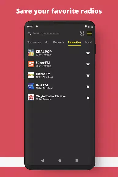Radio Turkey FM online Screenshot 2 