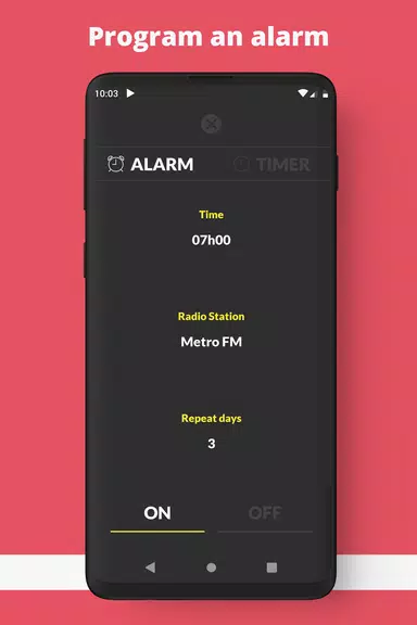 Radio Turkey FM online Screenshot 3 