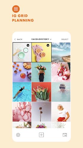A Color Story Screenshot 6