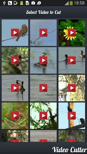 Video Cutter : Video Trimmer Screenshot 4