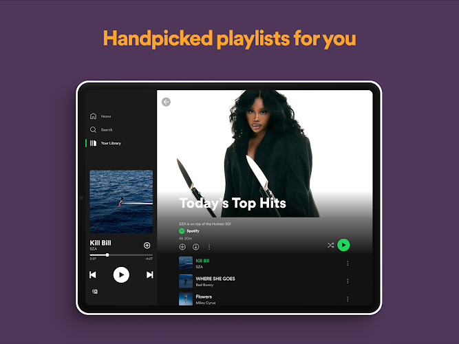Spotify Screenshot 17
