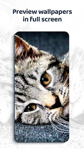 Beautiful Wallpapers 4K Screenshot 11