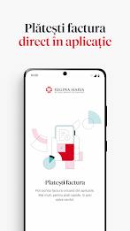 Regina Maria Screenshot 8 