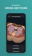 Complete Anatomy 2024 Screenshot 7