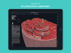 Complete Anatomy 2024 Screenshot 16