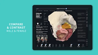 Complete Anatomy 2024 Screenshot 21