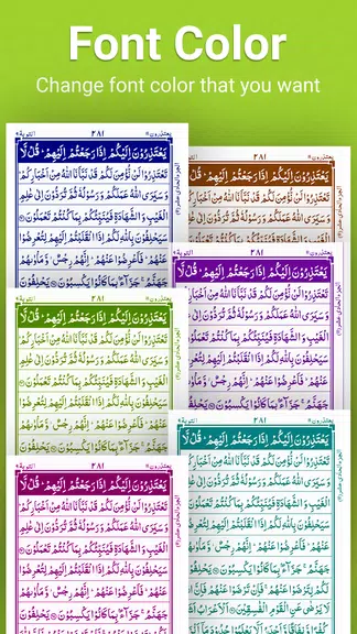 Quran Majeed - 13 Line Quran Screenshot 2 