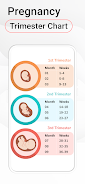 Pregnancy Calculator Screenshot 4